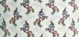 Littleunicorn lt.png